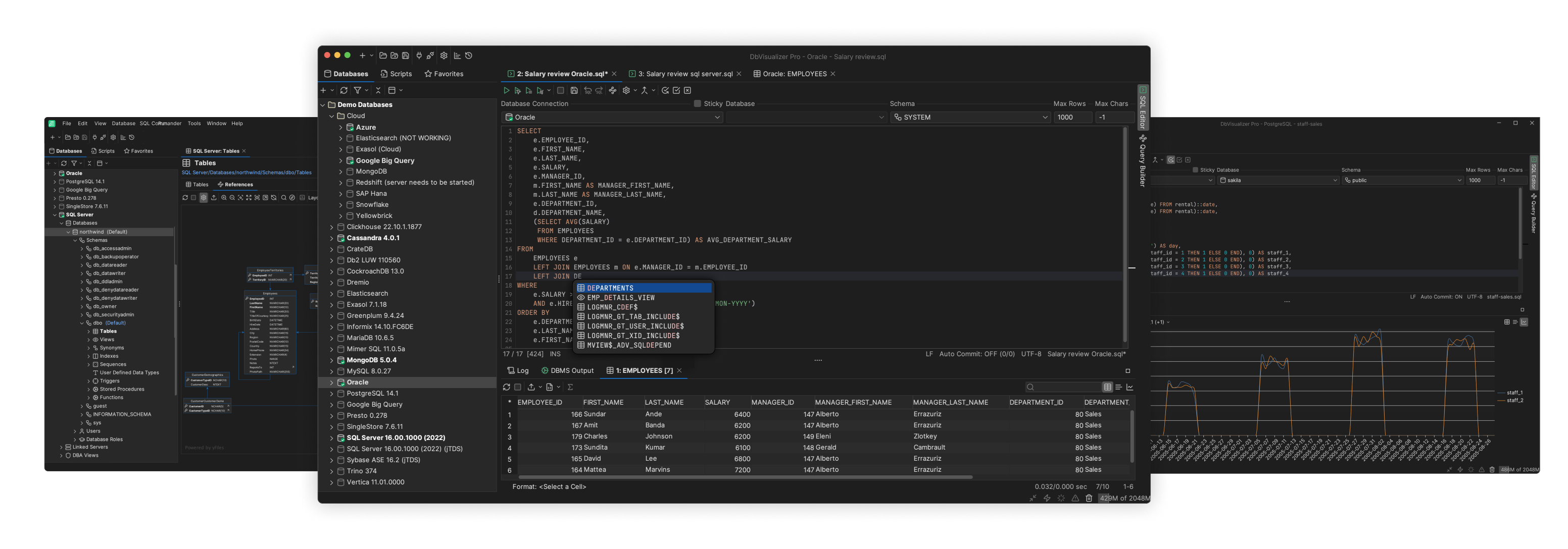 DbVisualizer database client with ER diagram and query editor